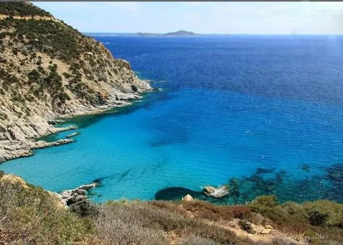 Bibi - Con Giardino *